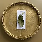 Lux * 雷根斯堡