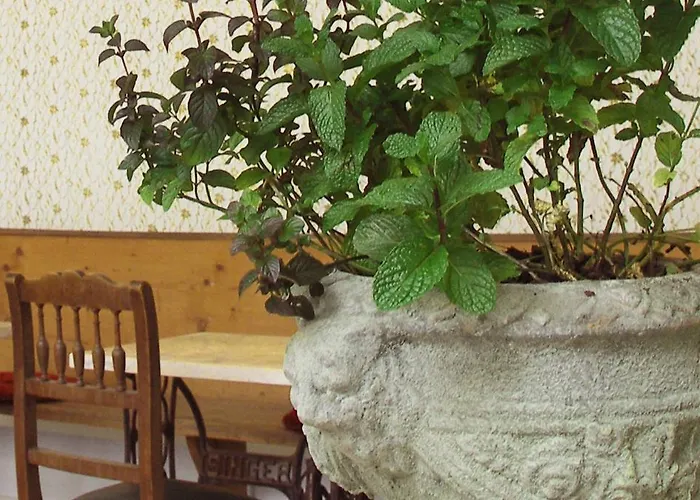 Hotel Lux